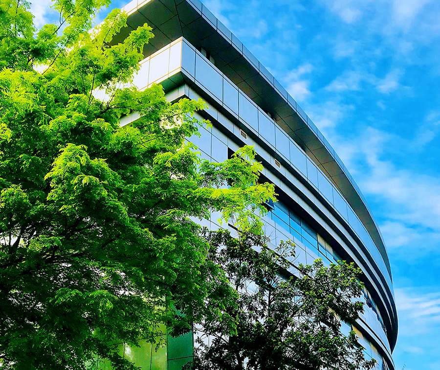 万利官网(中国集团)有限公司